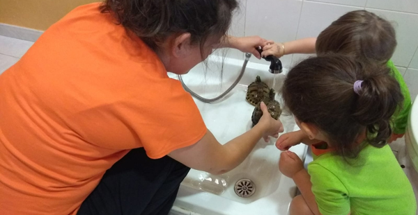 Alumnos de 2 a 3 años de Trastes Oroso ayudan a su educadora a duchar a las tortugas del centro
